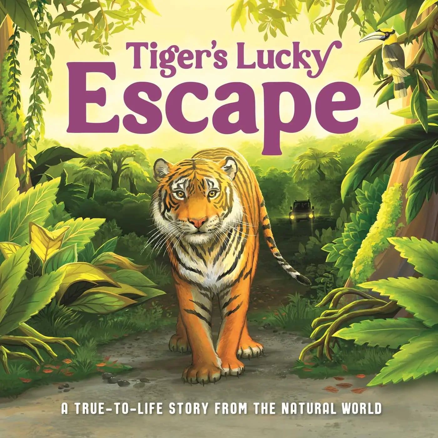 1243.Jpg Tiger S Lucky Escape - Image 1