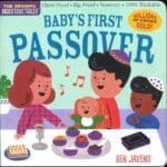 Babys First Passover (Indestructibles)